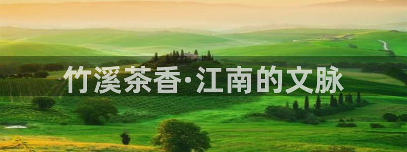 龙八国际下载安装