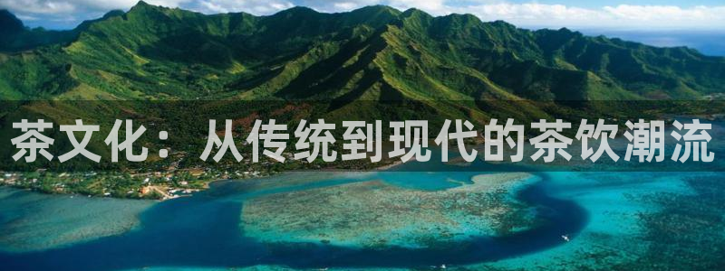 龙八国际贸易有限公司