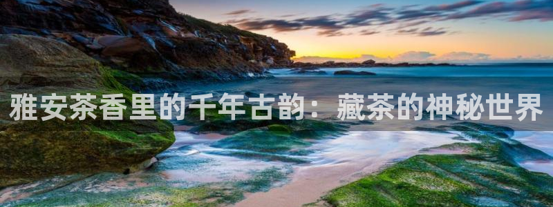 龙八国际代理app