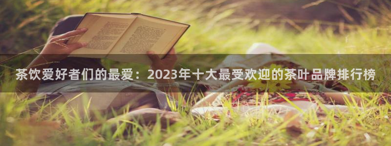 龙八国际游戏娱乐