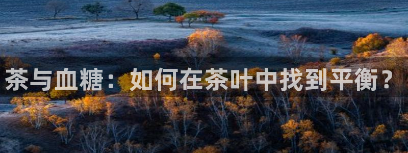 龙八国际游戏娱乐