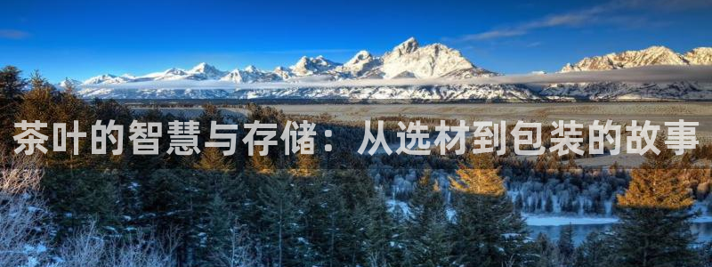 龙八国际pt娱乐老虎机