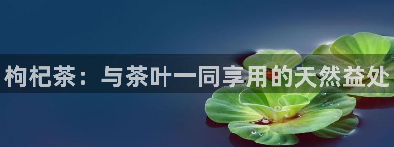 龙八国际在线登录