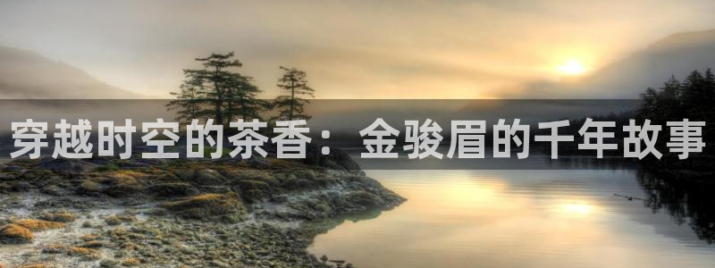 龙八国际手机登录