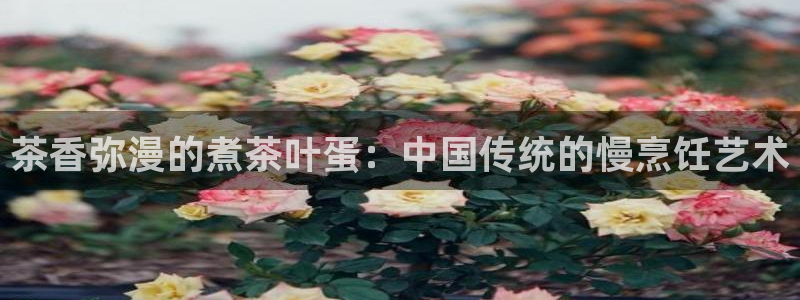 龙八国际官首页