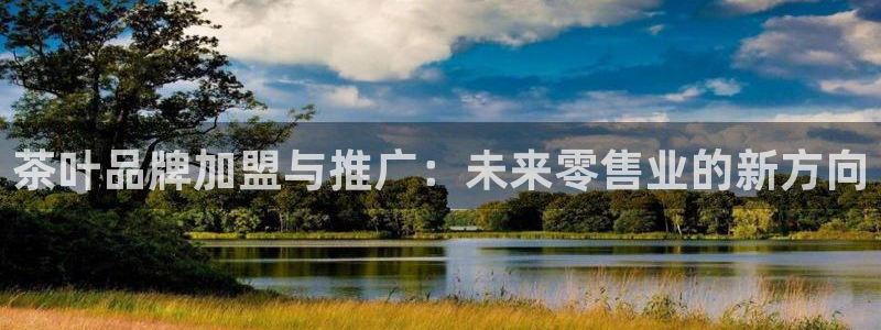 龙八国际APP官方版