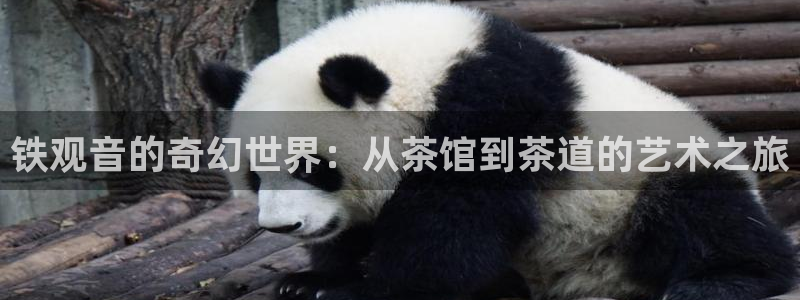 龙八国际官网app