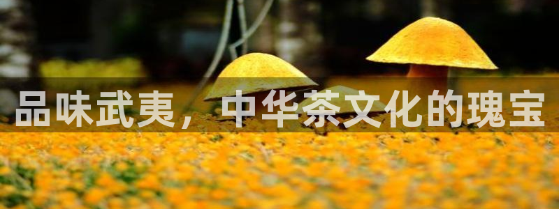 龙八国际登录f68点top