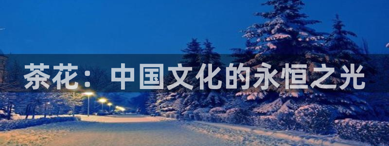 下载龙八国际手机端