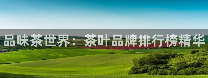 龙八国际app下载手机客户端