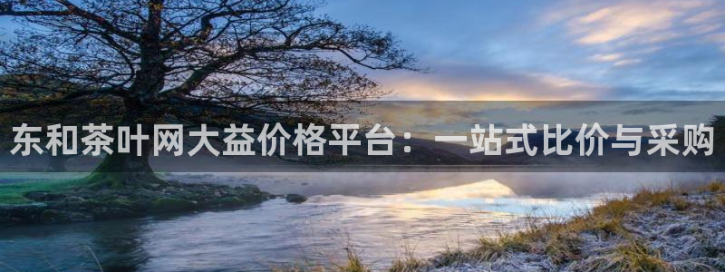 龙八国际有限责任公司