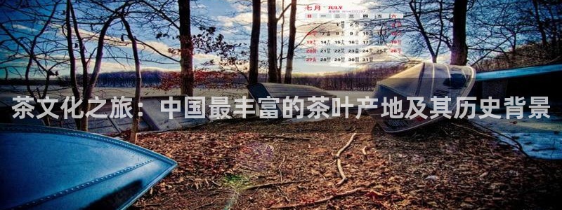 龙八国际服官网进入