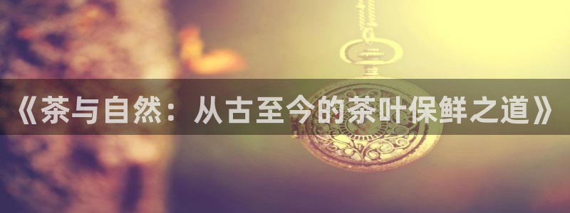 龙八国际pt游戏下载