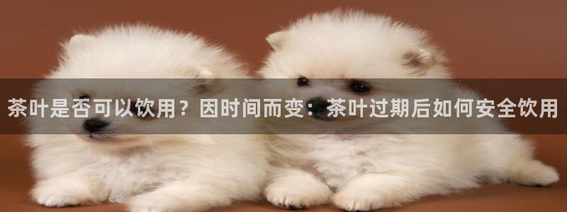 龙八国际网站全网