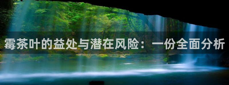 龙八国际娱乐正版