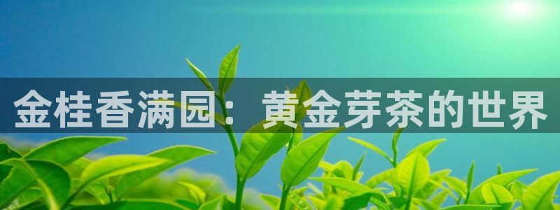 国际龙八国集团