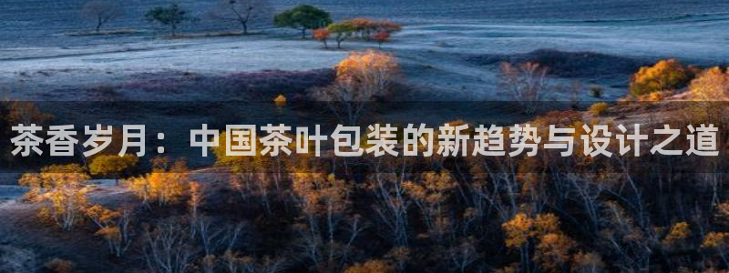 龙八国际登录网