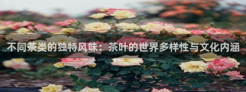 项目名称龙八国际