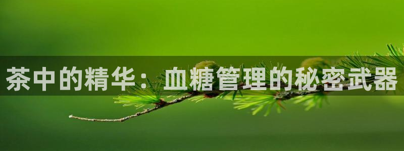 龙八国际娱乐官网注册