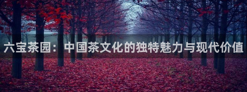 龙八国际娱乐官网首页