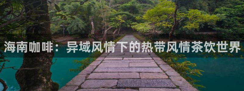 龙八国际视频网站