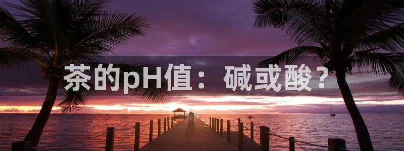 龙八国际打开页面