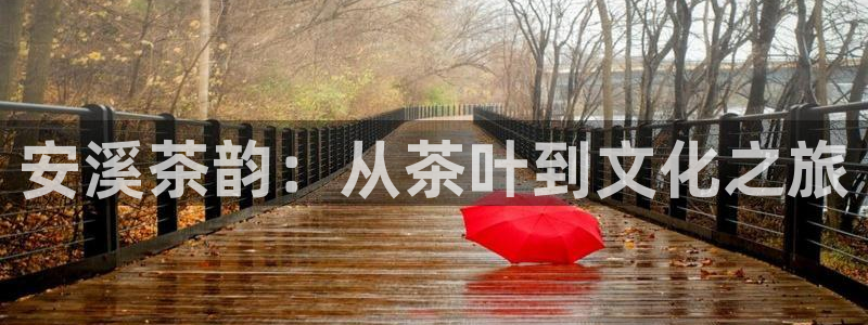 龙八国际网址是多少