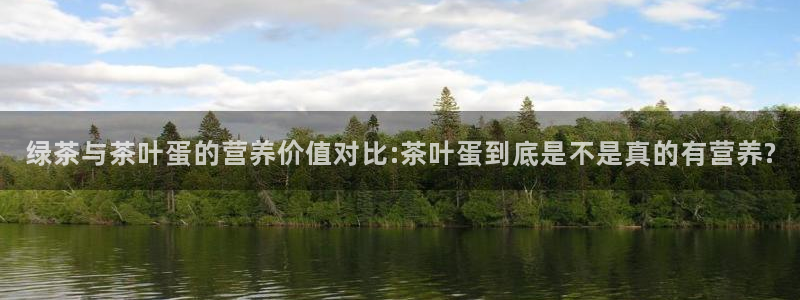 龙八国际登录网站