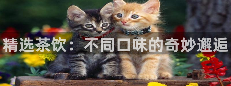 龙八国际app客户端下载手机版