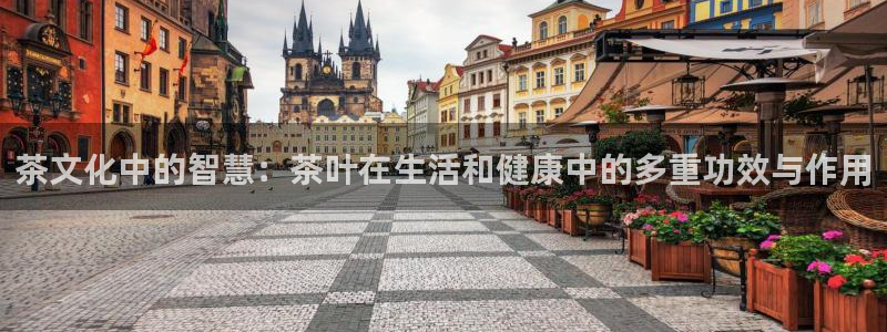 龙八国际app客户下载