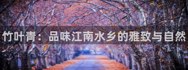 龙八国际官网网址