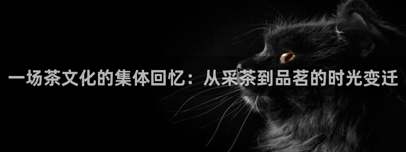 龙八国际娱乐平台