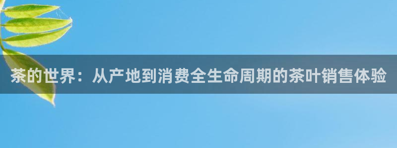 龙八国际娱乐实力如何