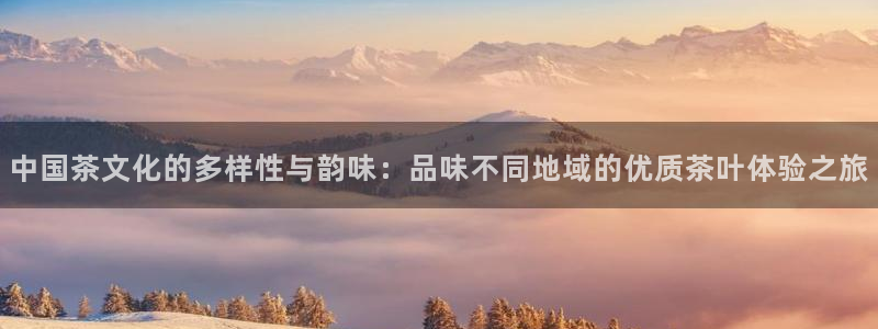 龙八国际游戏娱乐