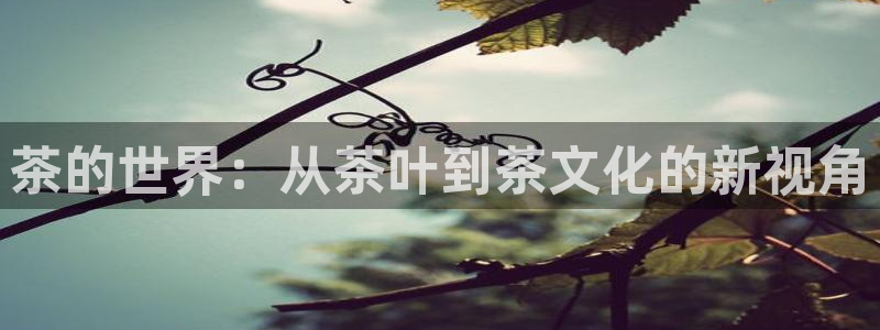 龙八国际娱乐官网多少