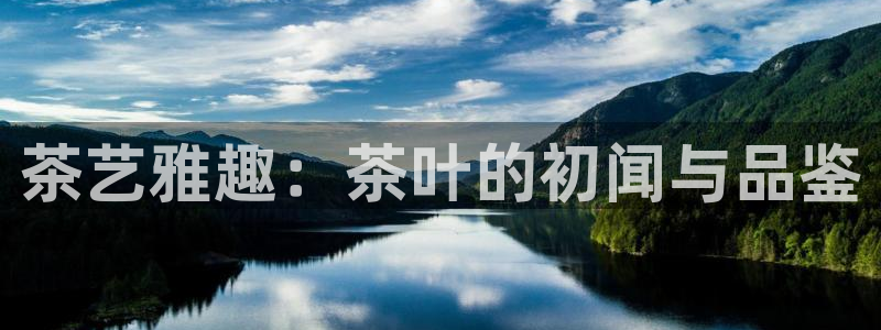 龙八国际怎么注册