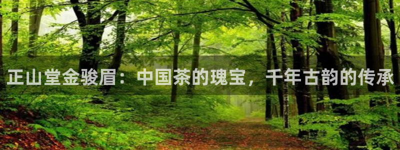 龙八国际app客户下载