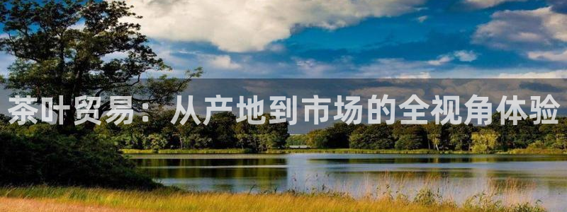 龙八国际娱乐在线