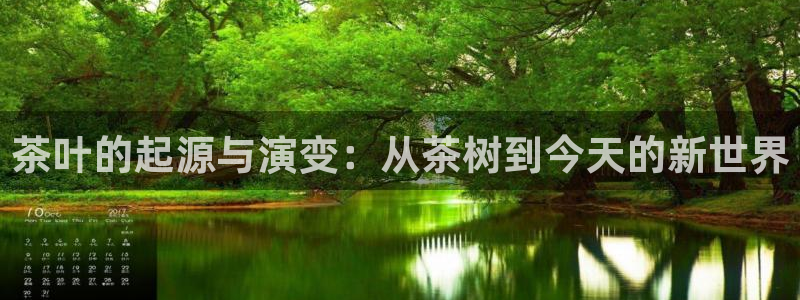 龙八国际老虎机