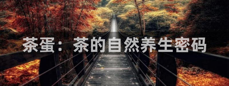 龙八国际官方网站