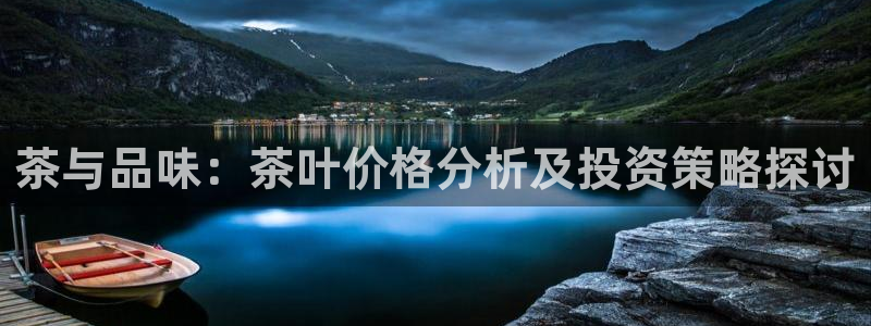 龙八国际APP官方版