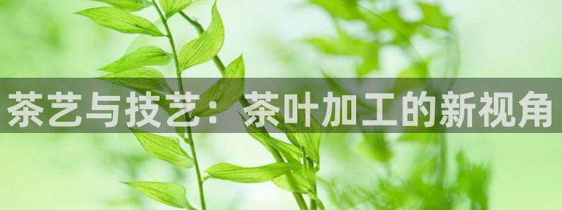 龙八国际网q18点tv