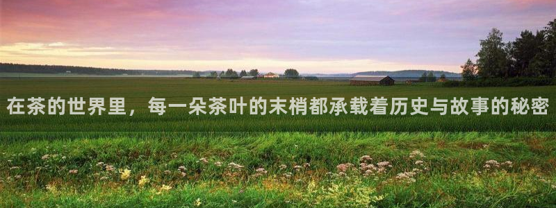 龙八国际在哪里啊