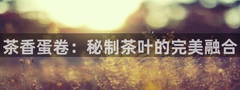 龙八国际官网产品介绍