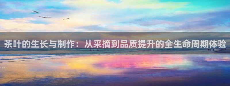 龙八国际娱乐官网app