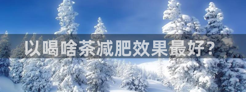 龙八国际手机版