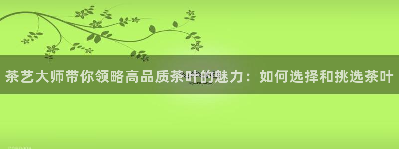 龙八国际在线网址