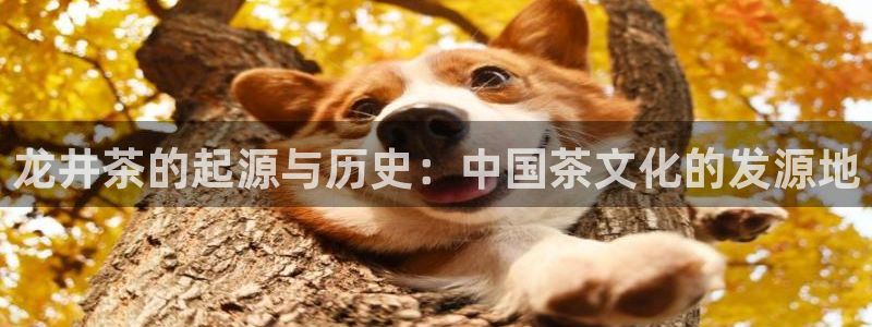 龙八国际官网手机版登录