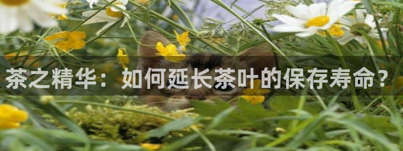 龙八国际官首页