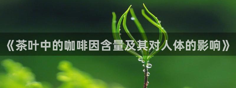 龙八国际官方网登录